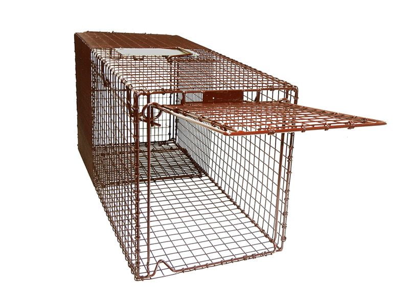 An open cat trap