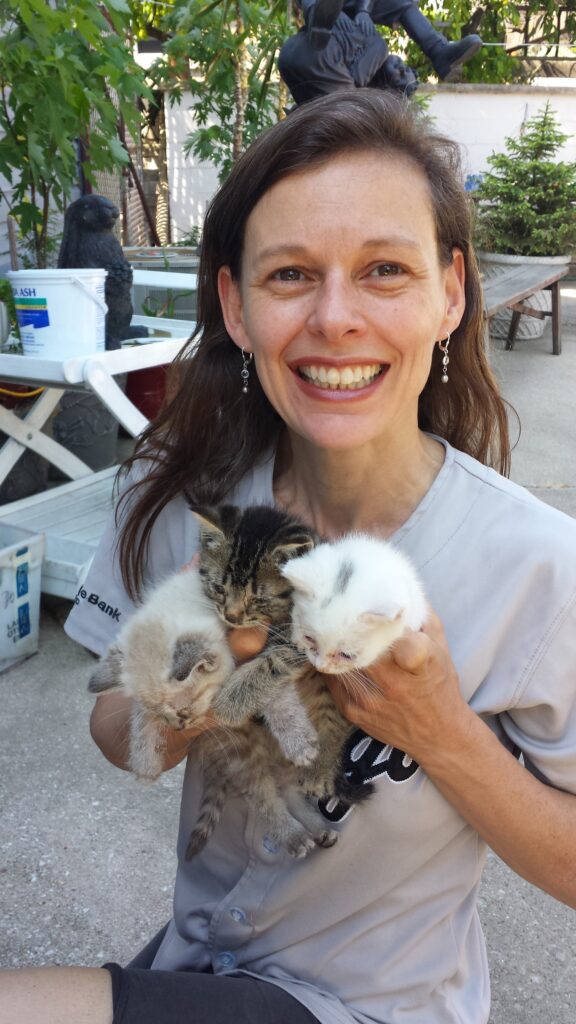 Liz from Cats in Action with three kittens